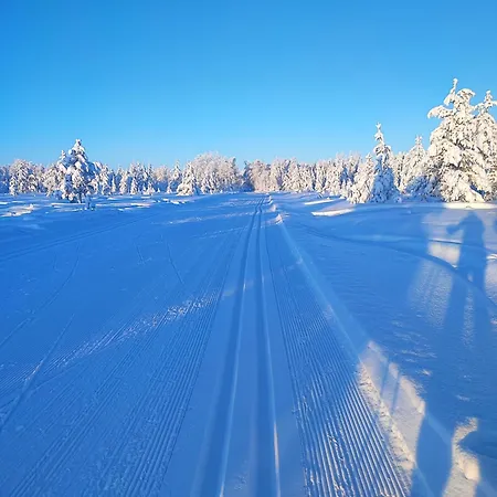 Apartment Talitintti Levi, 1 Bedroom