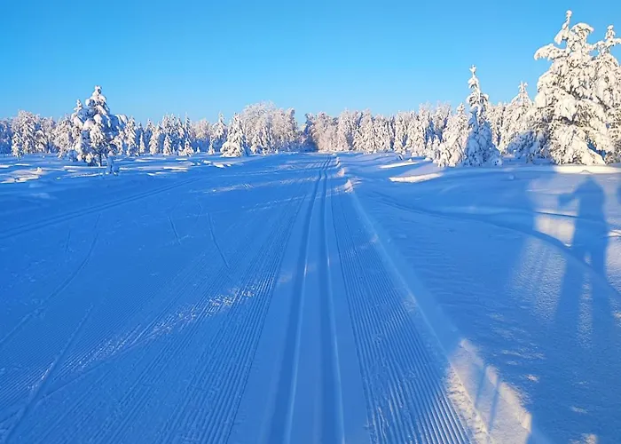 公寓 Talitintti Levi, 1 Bedroom